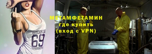 хмурый Аркадак