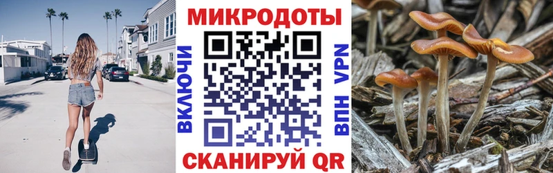 нарко площадка клад  Ковдор  Галлюциногенные грибы Magic Shrooms 